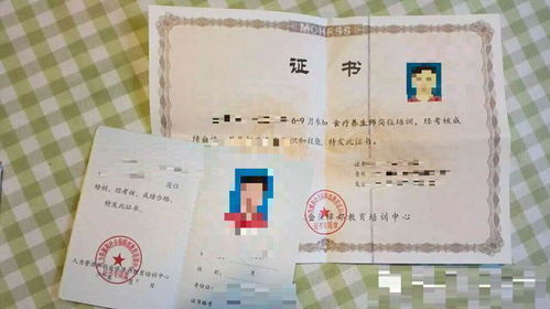 人力資源和勞動(dòng)社會(huì)保障部教育培訓(xùn)中心與廣東省職業(yè)技能鑒定指導(dǎo)中心的培訓(xùn)哪個(gè)證書(shū)更好